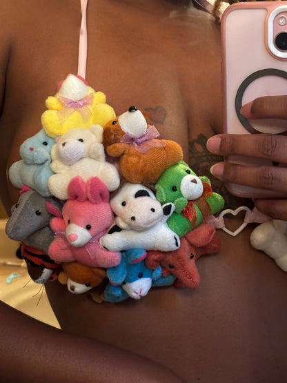 Stuffed Animal Teddy Bear Two Piece Swimsuit